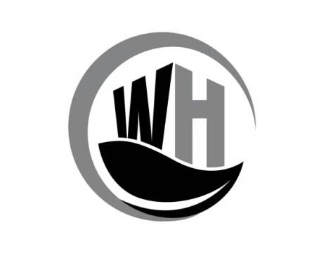 wh字母logo设计图片