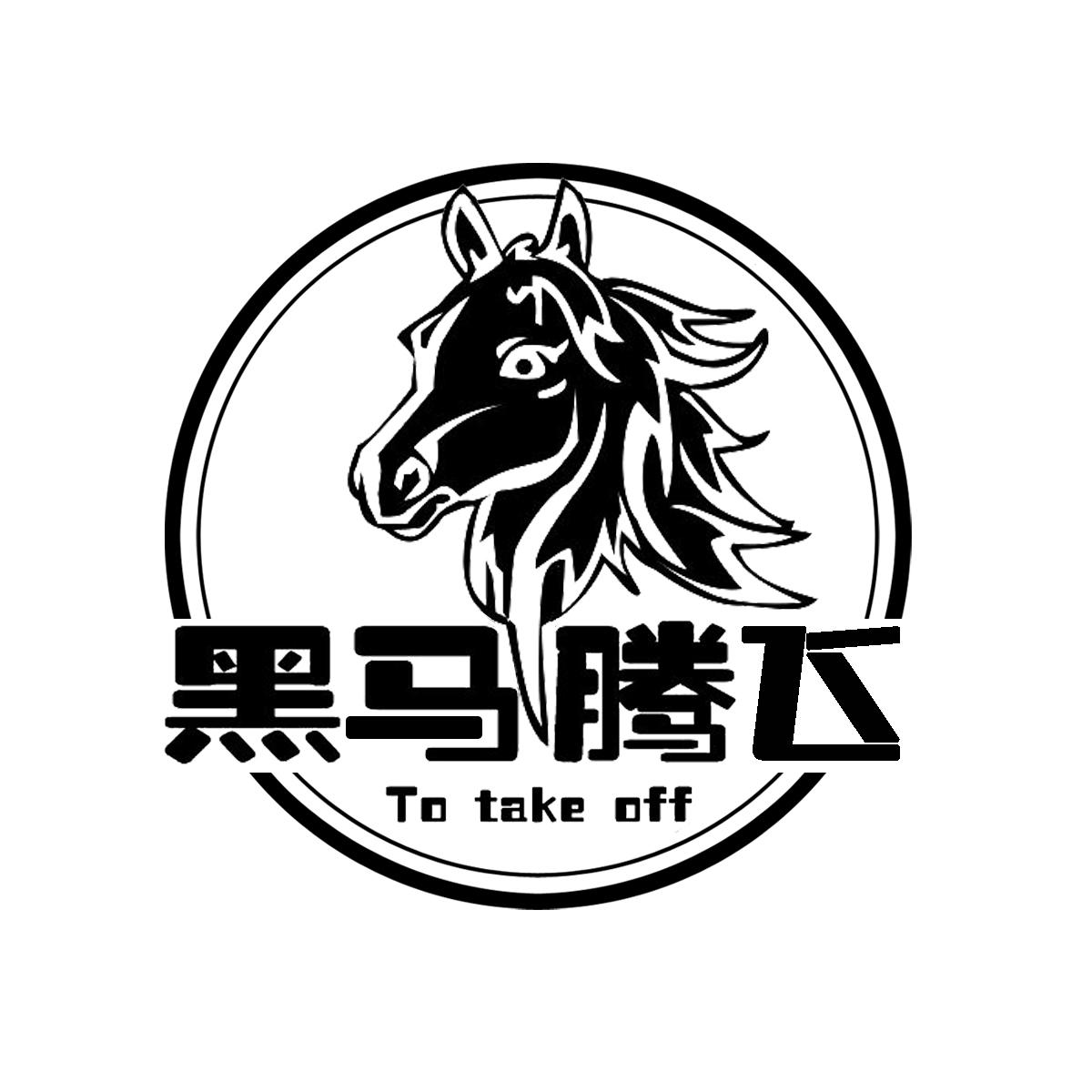  em>黑马 /em>腾飞 to take off