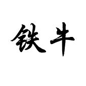铁牛tieniuironcattle