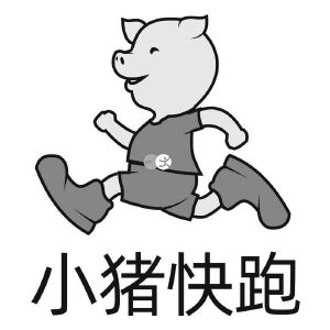 小猪快跑