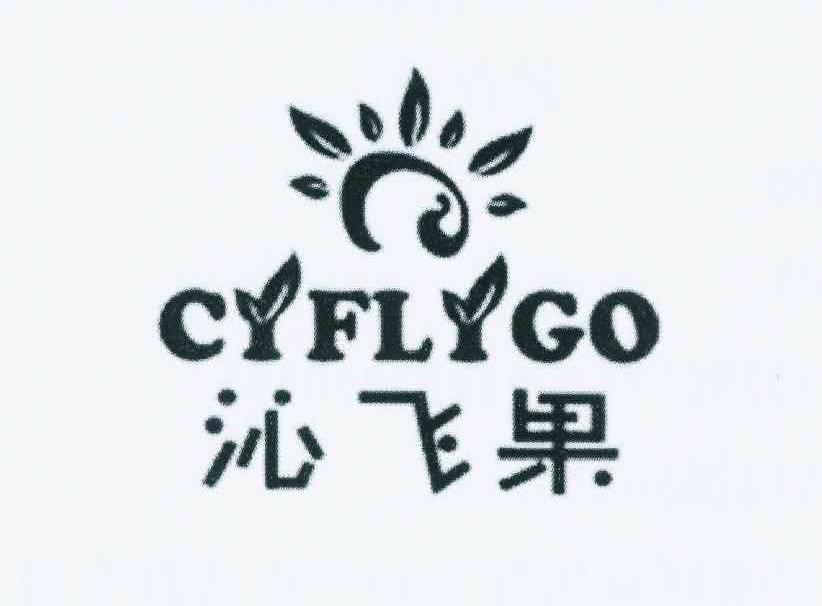 进贤县乐陶陶百货超市商标沁飞果 CYFLYGO（29类）多少钱？