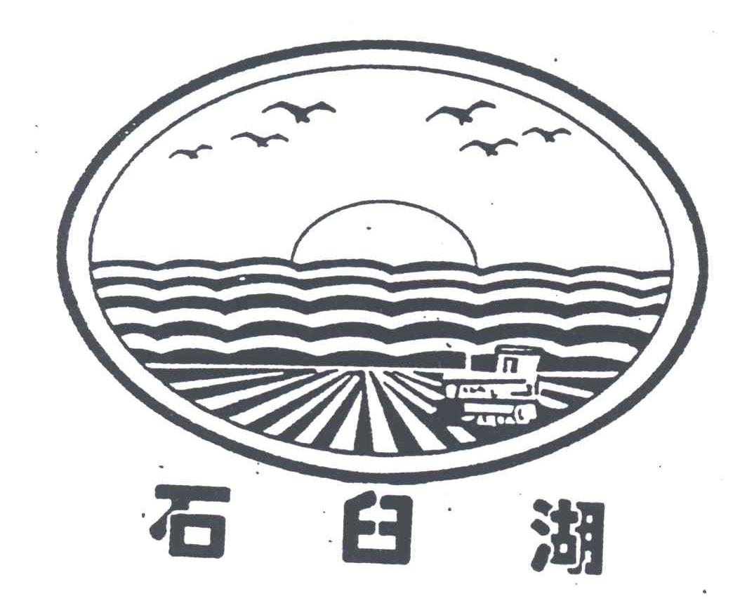 在手机上查看商标详情