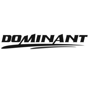 dominant_注册号57368904_商标注册查询 - 天眼查
