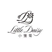 小雏菊;little daisy