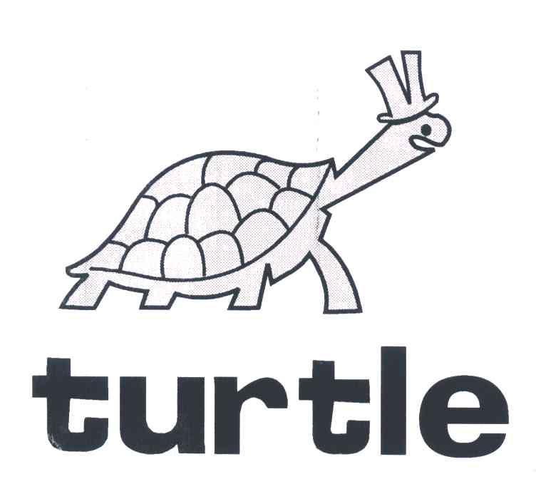 turtle