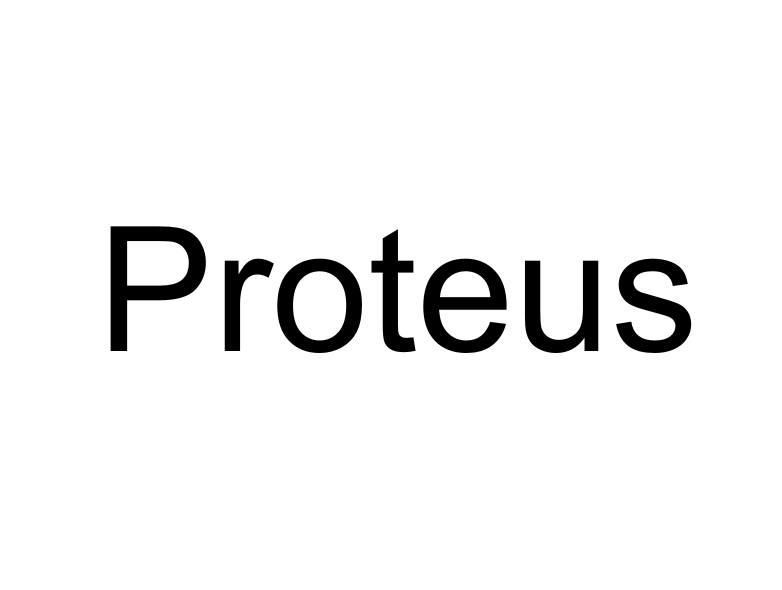 proteus软件图标图片