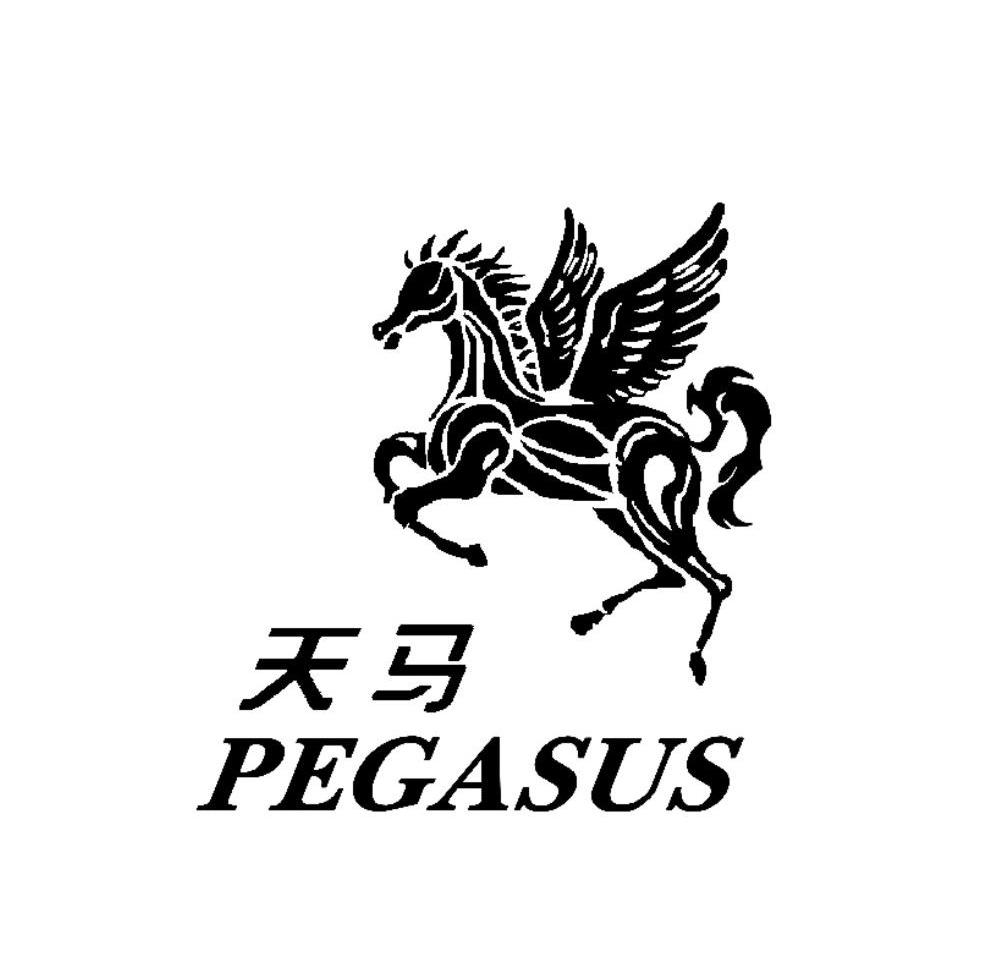 天马pegasus