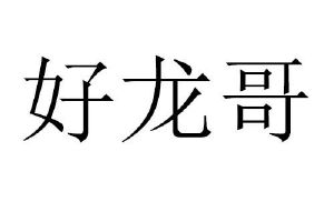 好龙哥