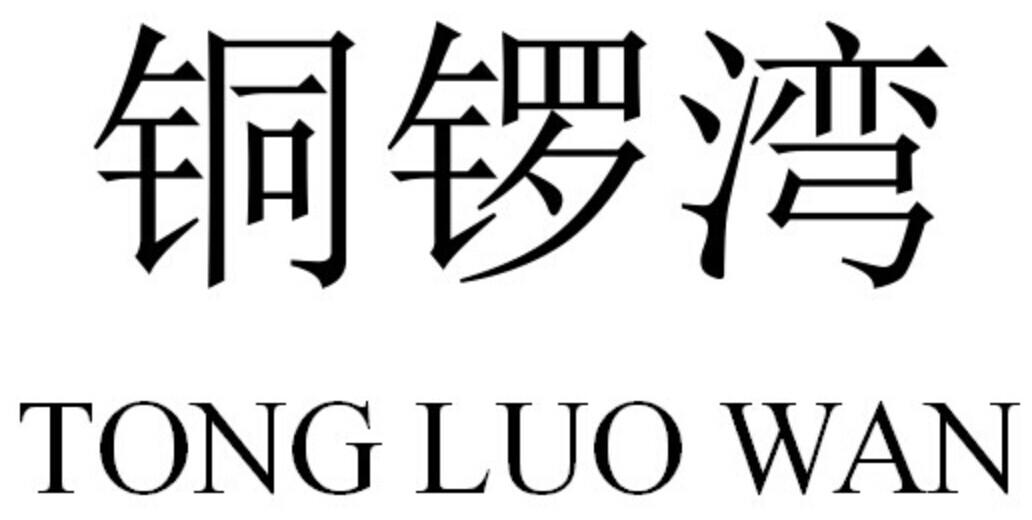 深圳市铜锣湾百货有限公司