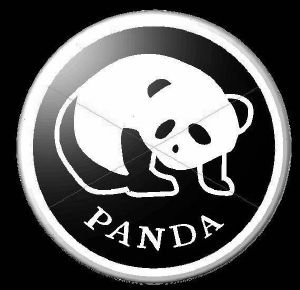 panda