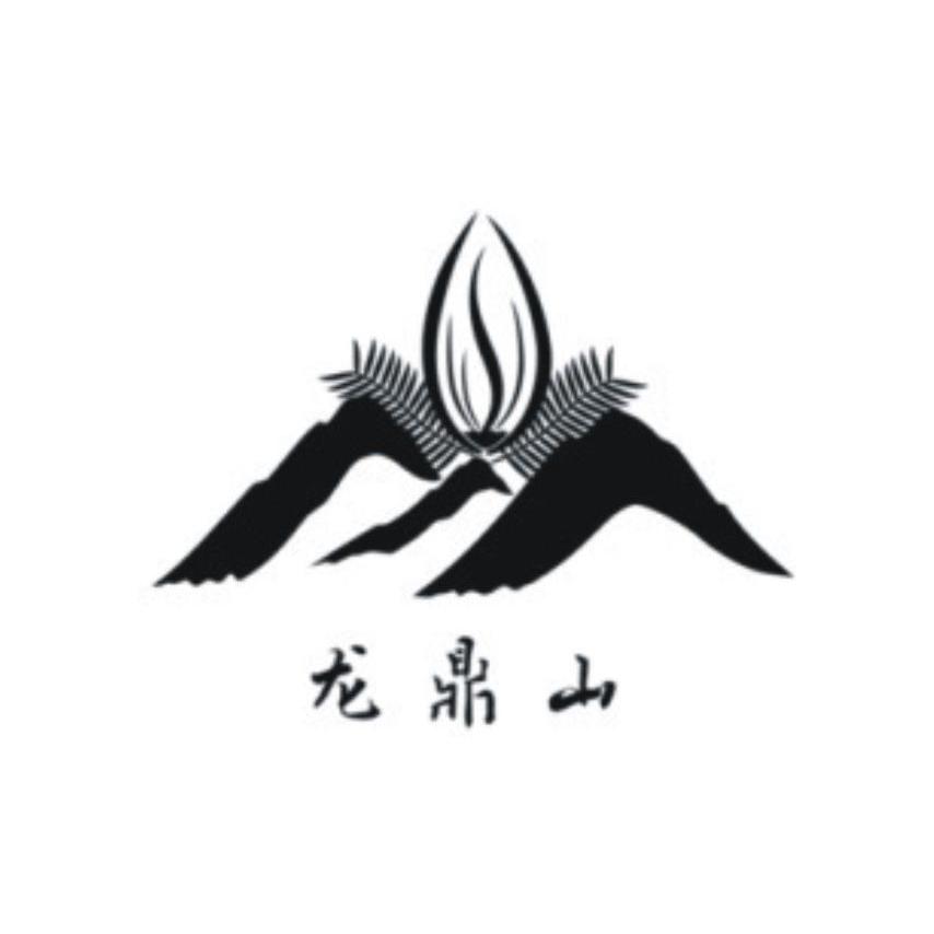 松阳县龙鼎山香榧专业合作社