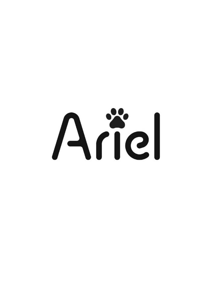 ariel