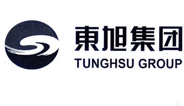 东旭集团 tunghsu group s