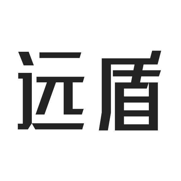 山东远盾网络技术股份有限公司