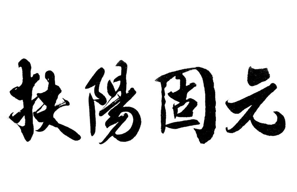 扶阳固元