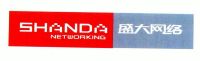 盛大网络;shanda networking