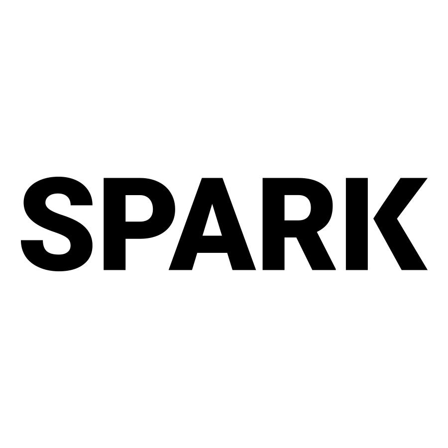 spark图标图片