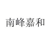 广东南峰集团有限公司