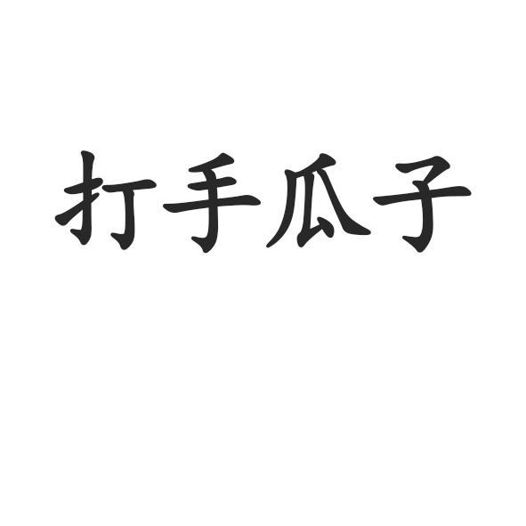 打手 em>瓜子 /em>