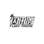 闪讯鸽 FLASH PIGEON