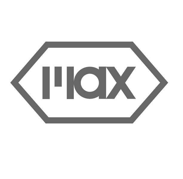 max_注册号3197178_商标注册查询 - 天眼查