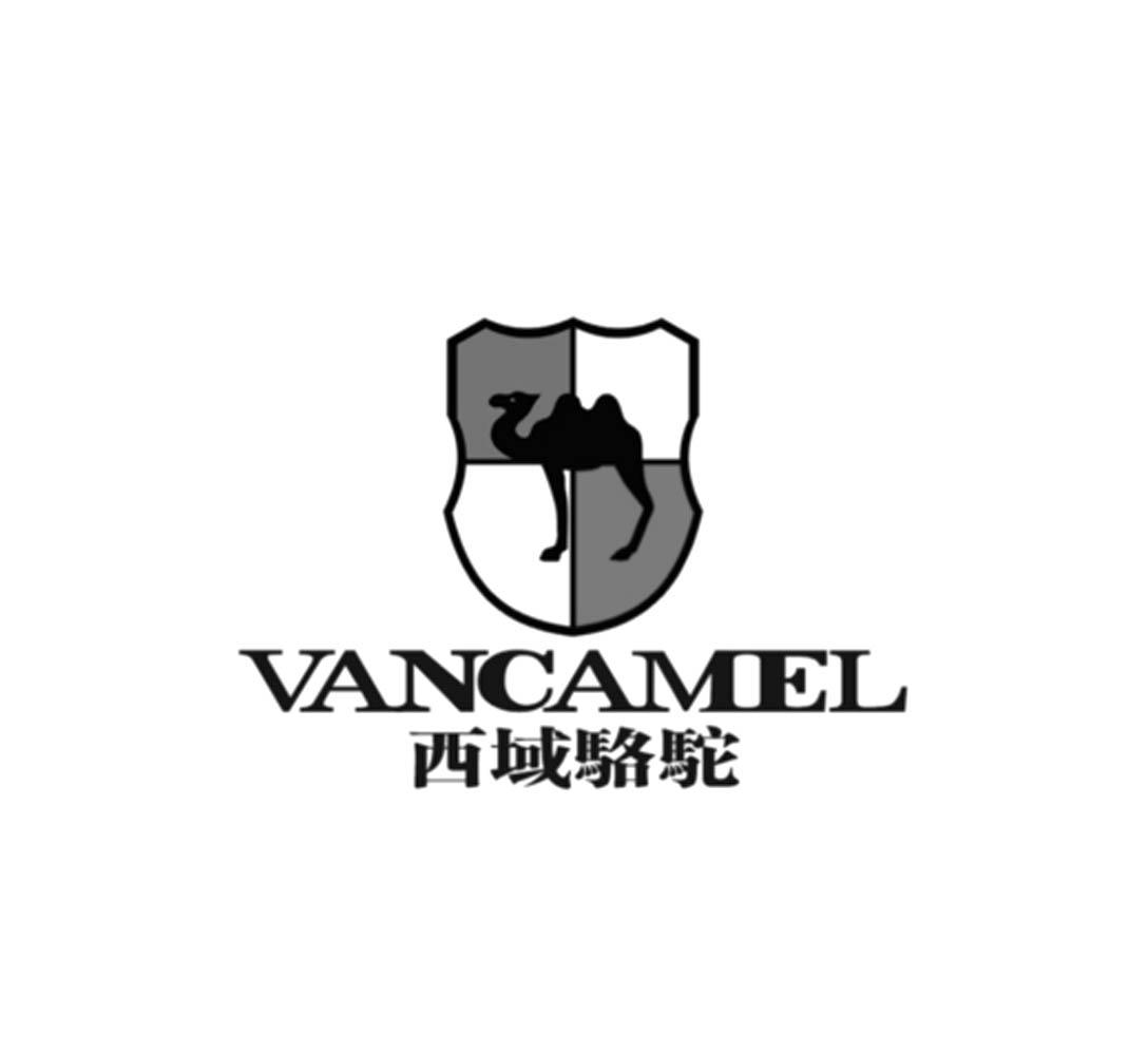 西域骆驼vancamel