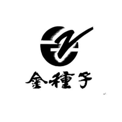 金种子