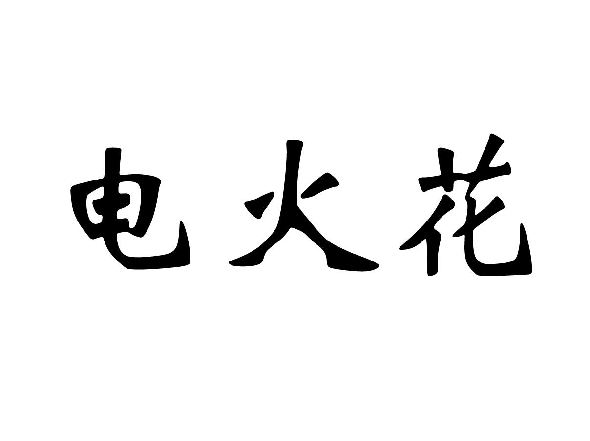 安徽省電火花科技有限公司