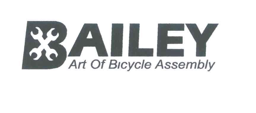 b;ailey;art of bicycle assembly