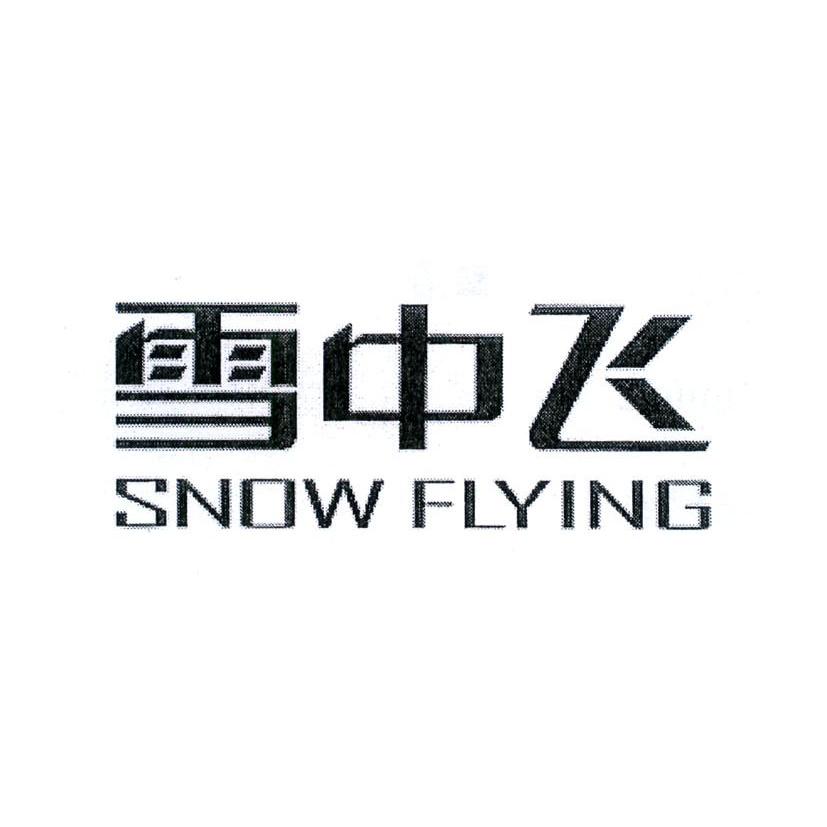 雪中飛 snow flying