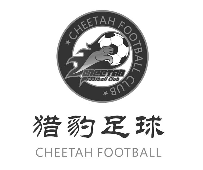  em>猎豹 /em>足球 cheetah football club cheetah football