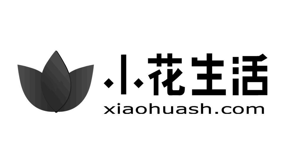 小花logo图片