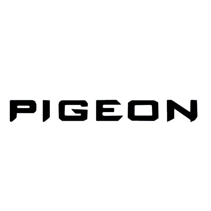 pigeon