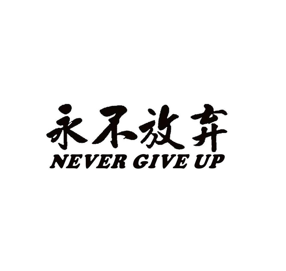 永不放弃 never give up