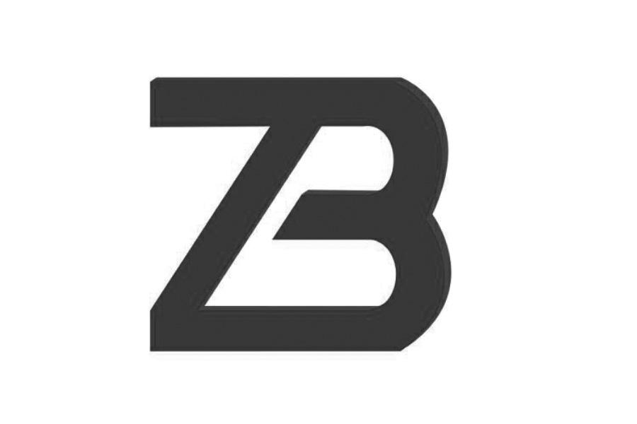 深圳市振邦视界科技有限公司