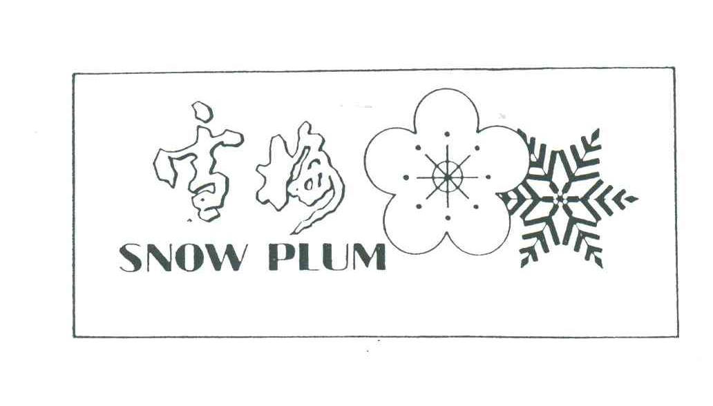 雪梅;snow plum