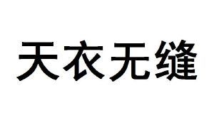 天衣无缝