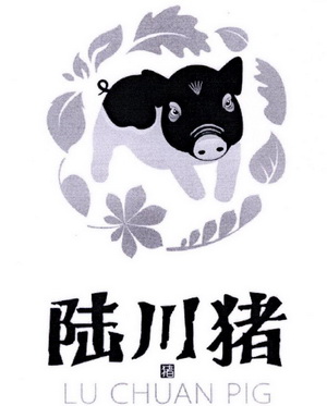 陆川猪猪_注册号32025563_商标注册查询 - 天眼查