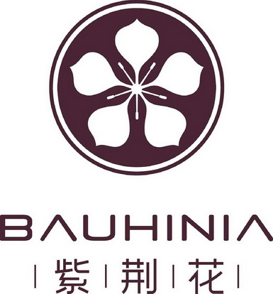 紫荆花bauhinia