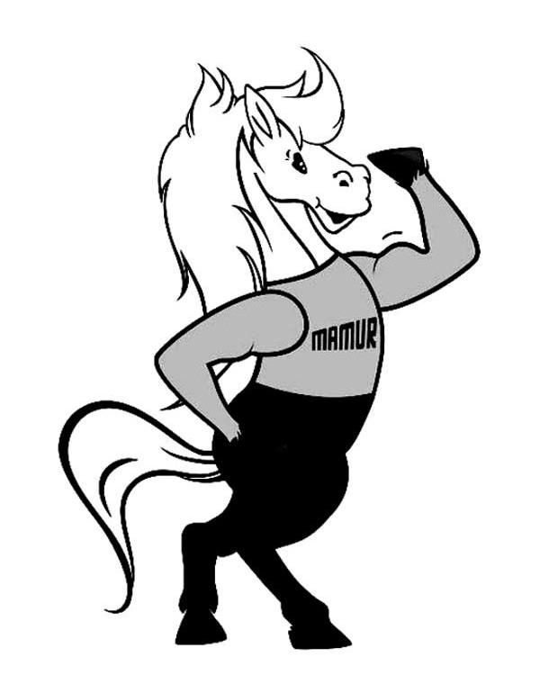 广州市驰洋贸易有限公司