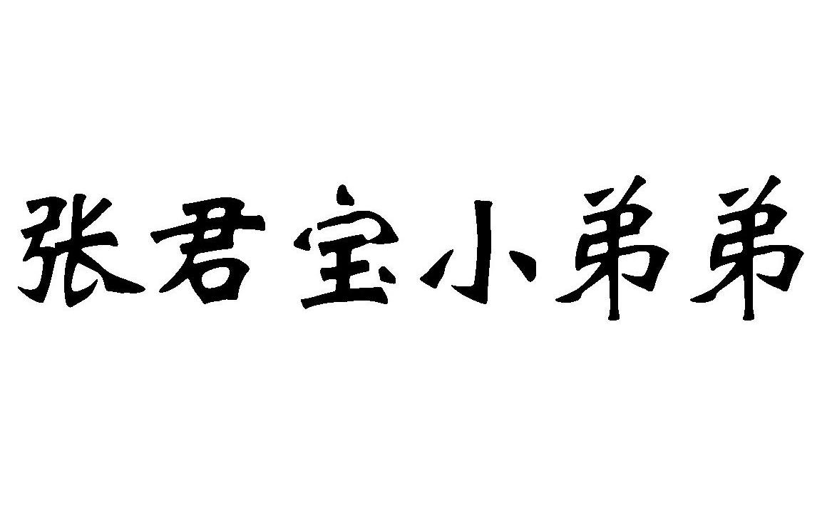 em>张君宝/em>小弟弟