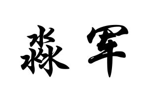 淼军