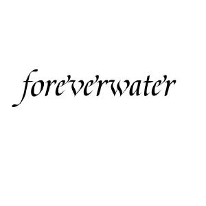 王赛商标FOREVERWATER（03类）商标转让费用多少？
