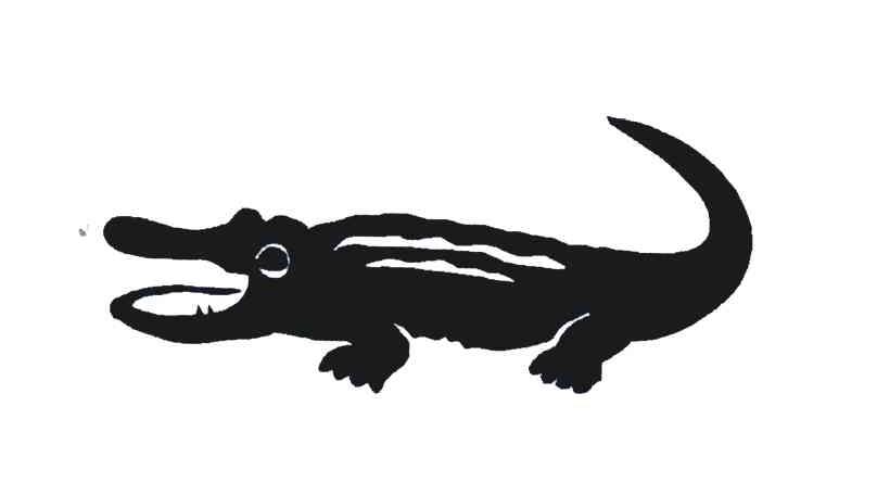 浙江天宏鞋业有限公司