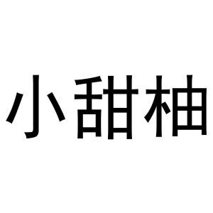 广州小甜柚服装工作室