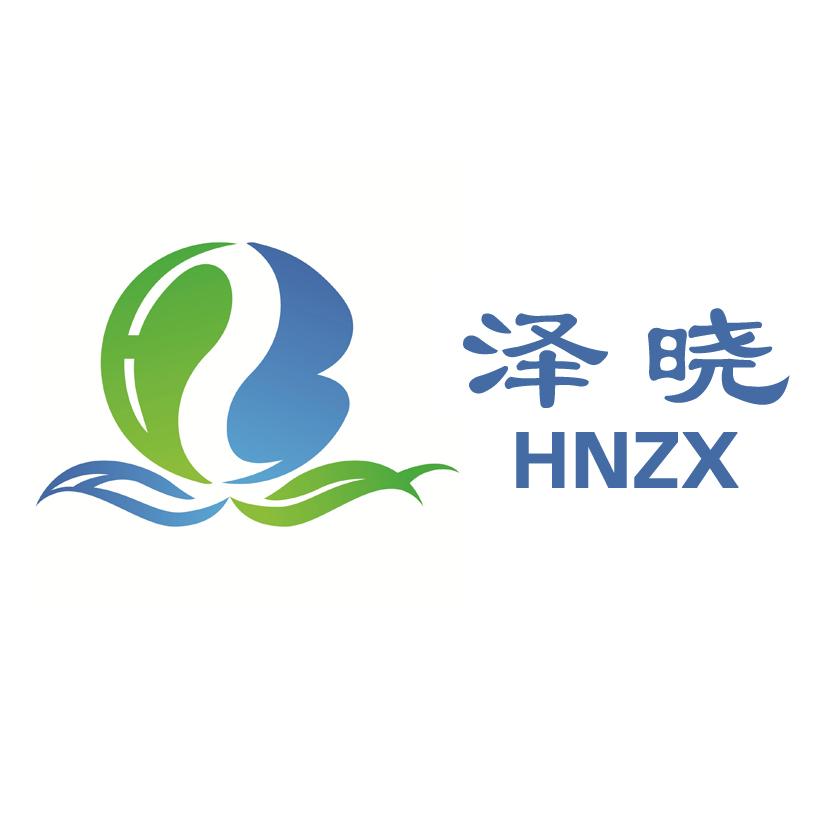 泽逍