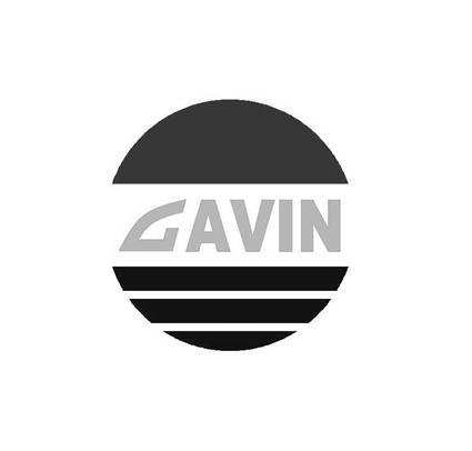 gavin