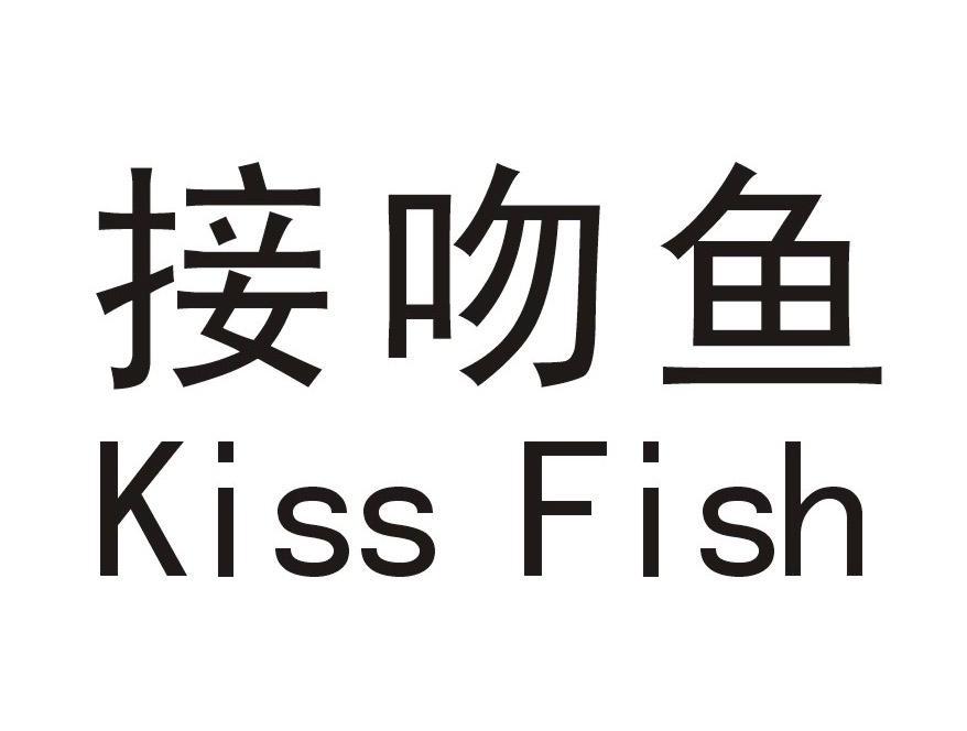 接吻鱼 kiss fish