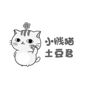 小贱猫土豆君