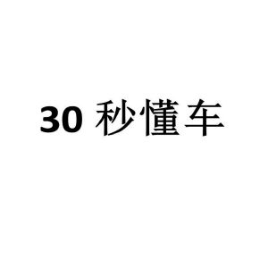30 秒懂车